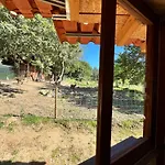 Associacao Quinta Relvas ファームステイ