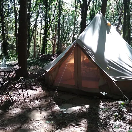 Associacao Quinta Relvas Séjour à la ferme *