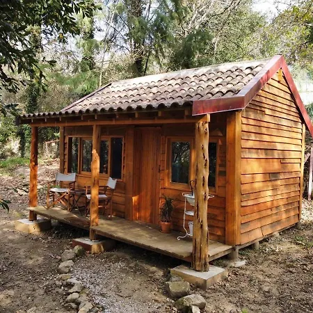 Séjour à la ferme Associacao Quinta Relvas *