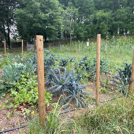Séjour à la ferme Associacao Quinta Relvas *
