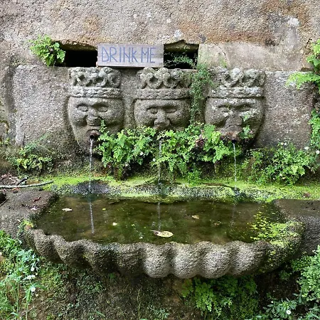 Associação Quinta Relvas *