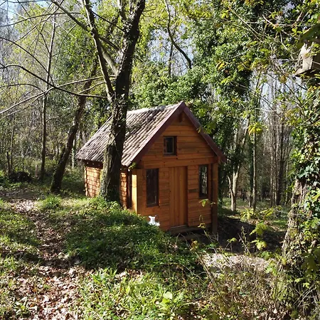 Séjour à la ferme Associacao Quinta Relvas *