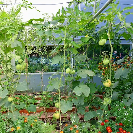 Eco-hostel Quinta Relvas * Branca