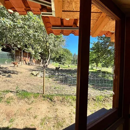 Eco-hostel Quinta Relvas Agroturismo