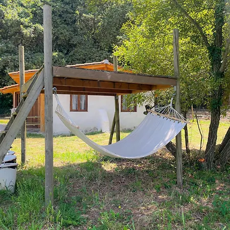 בית חווה Associacao Quinta Relvas *