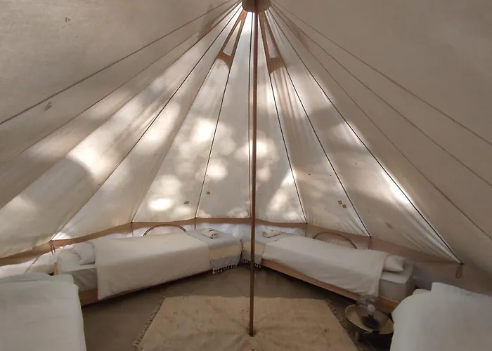 Associação Quinta Relvas Alojamento de Turismo Rural Branca