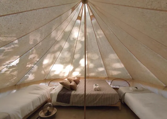 Associação Quinta Relvas *