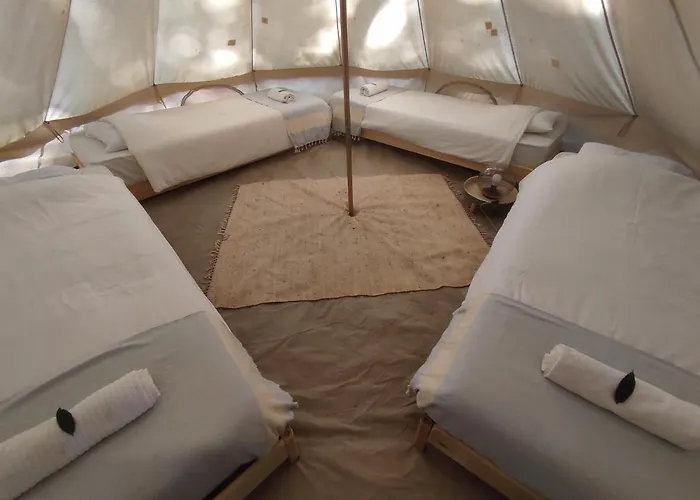 Associação Quinta Relvas