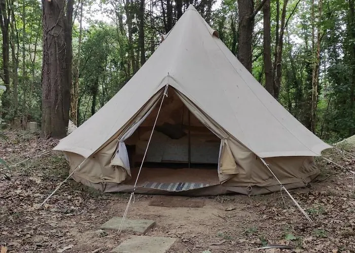 Associacao Quinta Relvas Branca