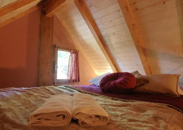 Associação Quinta Relvas