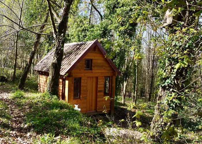 Associação Quinta Relvas Alojamento de Turismo Rural *