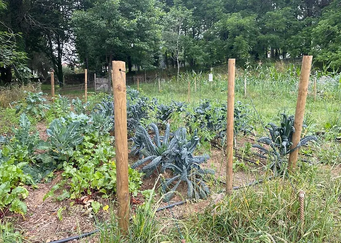 Alojamento de Turismo Rural Associação Quinta Relvas *
