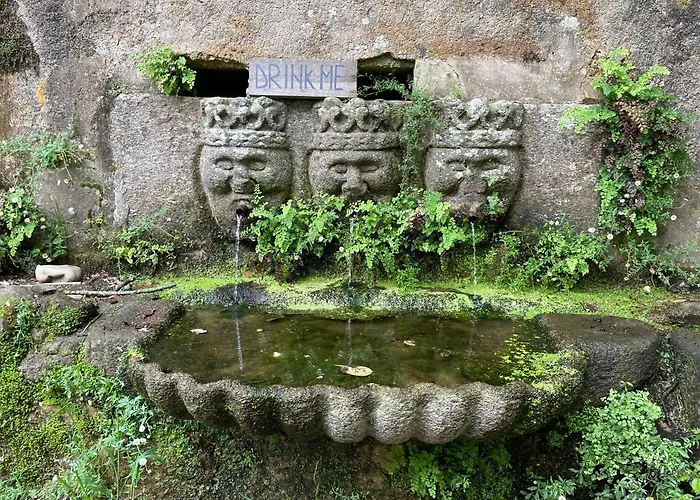 Associação Quinta Relvas *