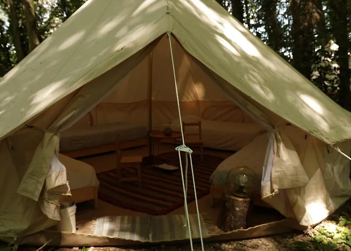 Alojamento de Turismo Rural Associação Quinta Relvas *