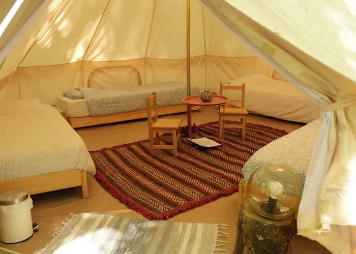 Alojamento de Turismo Rural Associação Quinta Relvas *