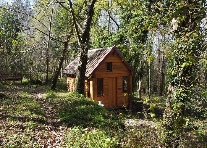 Alojamento de Turismo Rural Associação Quinta Relvas *