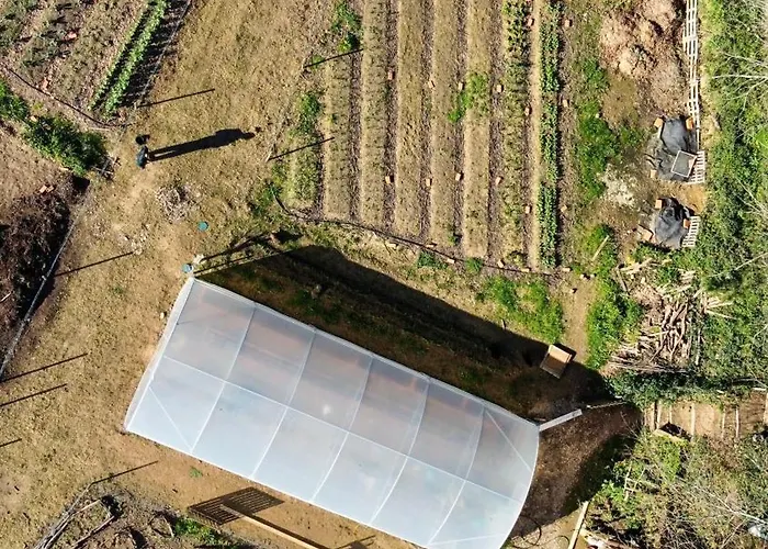 Associação Quinta Relvas * Branca