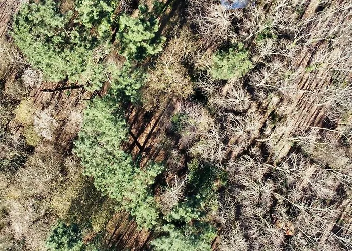 Associação Quinta Relvas Branca