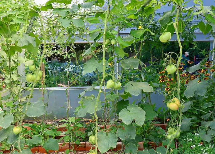 Associação Quinta Relvas * Branca