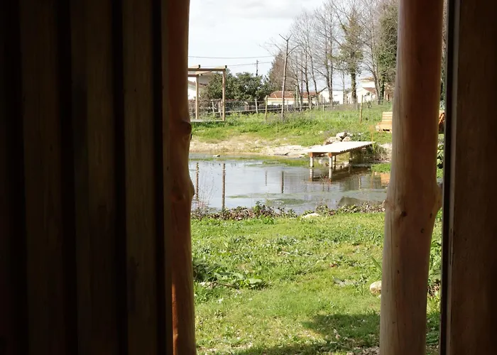 Associação Quinta Relvas Alojamento de Turismo Rural *