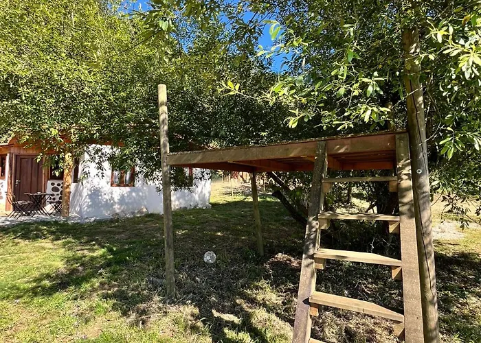 Alojamento de Turismo Rural Associação Quinta Relvas *