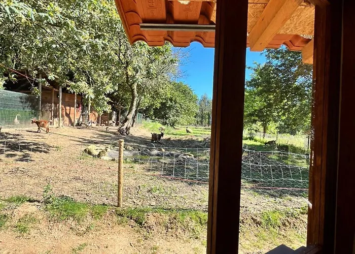 Associação Quinta Relvas Alojamento de Turismo Rural