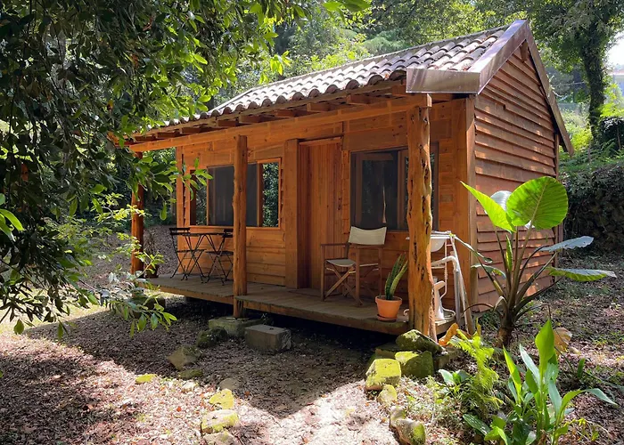 Alojamento de Turismo Rural Associação Quinta Relvas