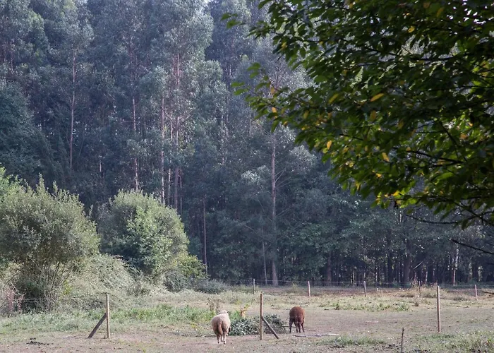 Associação Quinta Relvas